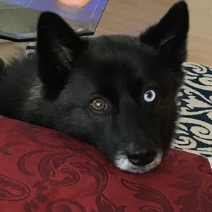 Meet your Posher, Eleanor